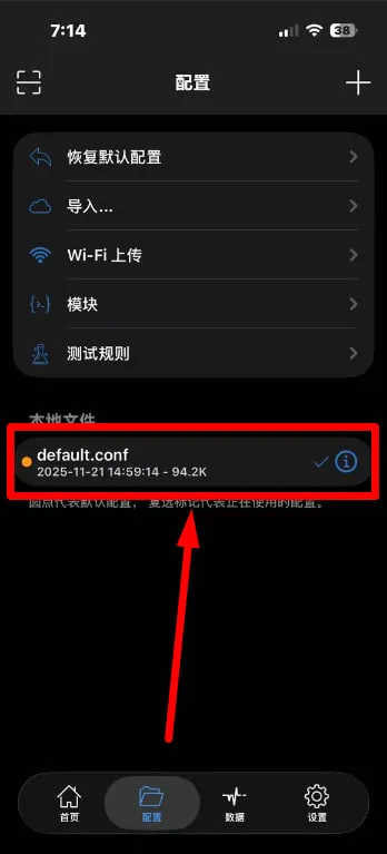 本地文件中选中要使用的配置文件